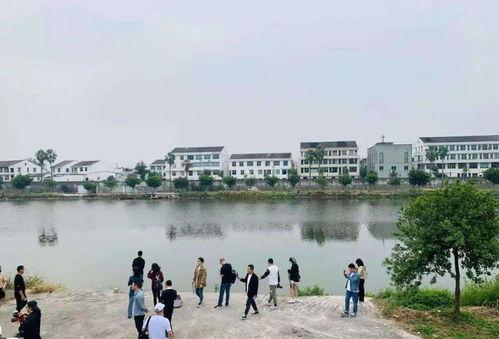 浙江龙港网红最新爆料,揭秘网红背后的惊人真相