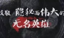 二八大案最新爆料视频在线观看,案情再掀波澜，真相逐渐浮出水面