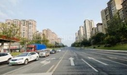 第五大道爆料最新消息,最新时尚潮流风向标大揭秘！”