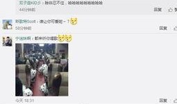 杨少最新 爆料微博视频,最新爆料内容大起底