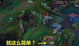 水龙最新爆料视频,揭秘幕后真相，带你走进事件核心