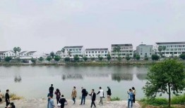 浙江龙港网红最新爆料,揭秘网红背后的惊人真相