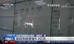 最新案件爆料新闻视频播放,视频揭露惊人内幕，真相令人震惊！