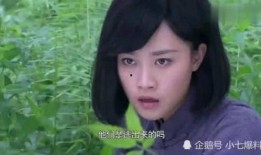 小七最新爆料视频,精彩瞬间不容错过！