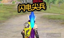 闪电尖兵最新爆料,揭秘神秘军事项目背后的秘密