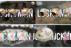 军需新皮肤最新爆料升级枪,枪械美学与实战性能的完美融合