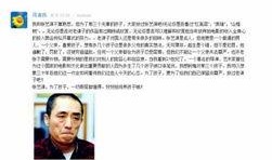 张艺谋罚款爆料视频最新,揭秘背后真相与影响