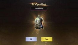 最新军需和平精英爆料,揭秘神秘军需装备