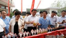 兴平吃瓜最新事件爆料新闻,最新爆料揭示惊人内幕