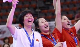 郎平爆料视频大全最新版,最新爆料视频大全背后的故事与真相