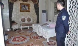 环球公馆爆料视频最新消息,揭秘神秘事件真相！