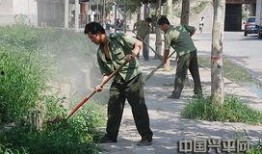 兴平吃瓜最新事件爆料新闻,最新爆料揭示惊人内幕