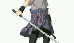 永恒佐助最新爆料在哪一集