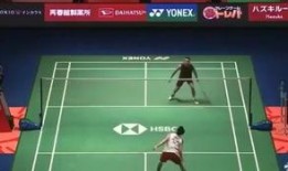 杨晨大神爆料最新消息