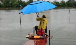 钓鱼爆料视频最新大全图片,捕捉瞬间，揭秘钓鱼高手技巧与心得